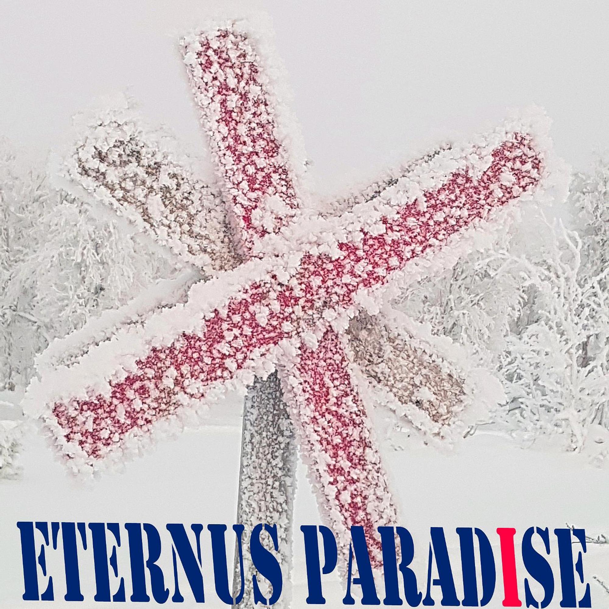 Eternus Paradise Tärnaby Esterno foto